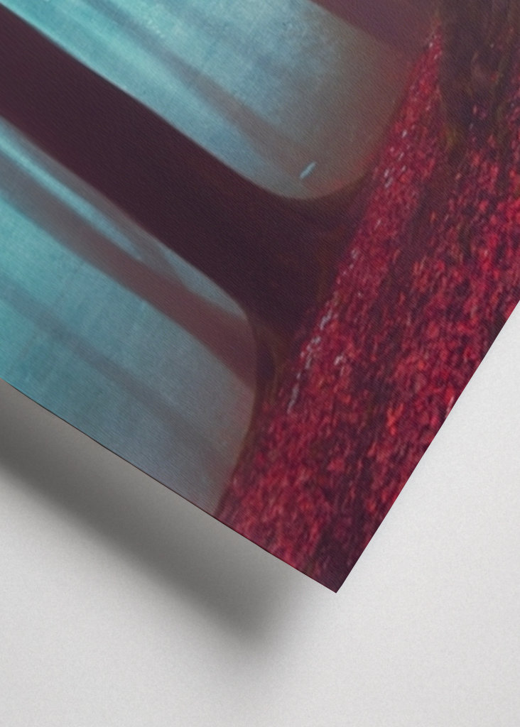 Winterwald Ohne Schnee