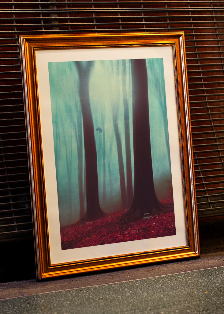 Winterwald Ohne Schnee