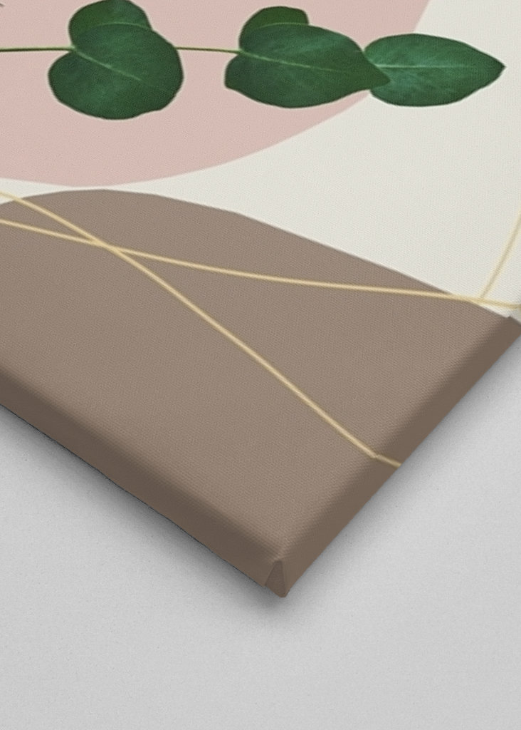 Eucalyptus Éventail Palmier Finesse 1