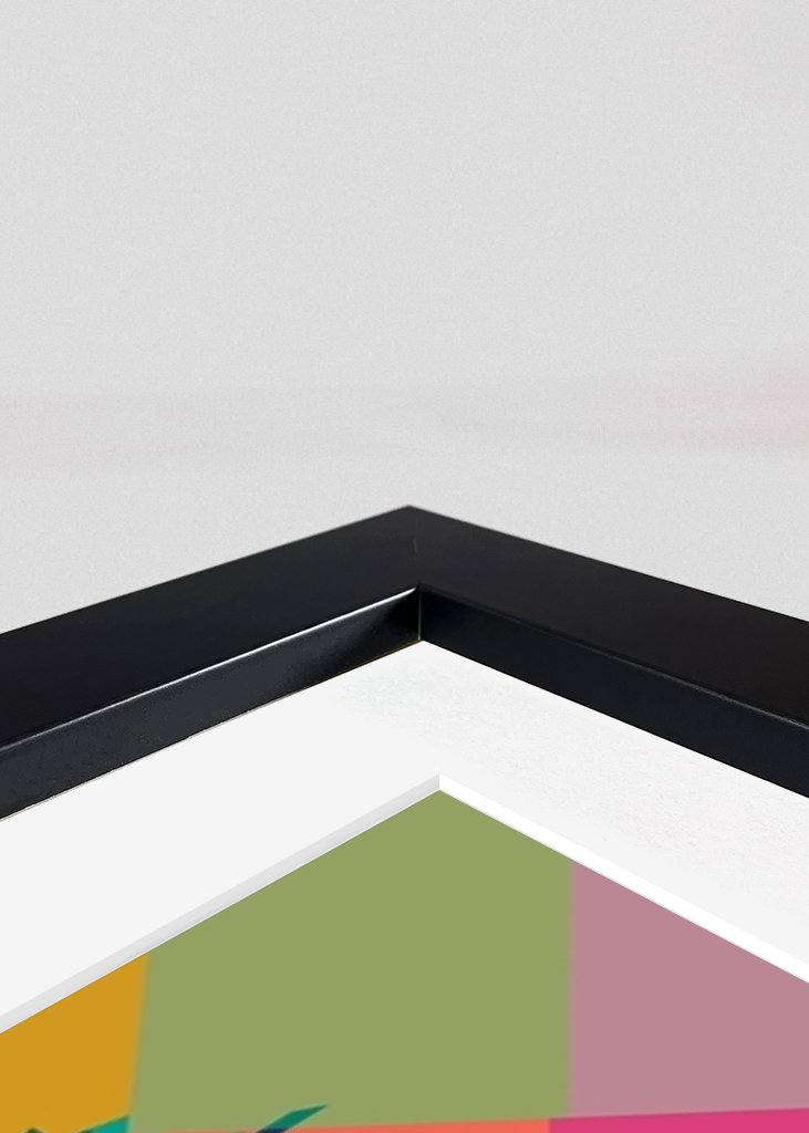 Billie Joe Armstrong wpap