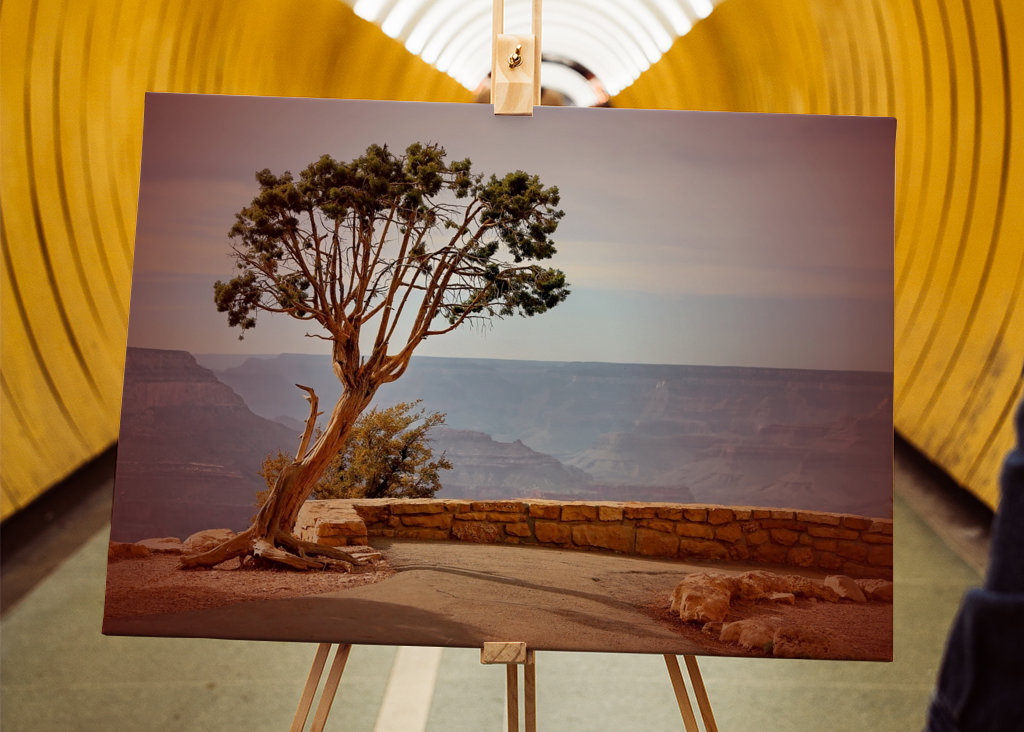 Baum am Grand Canyon