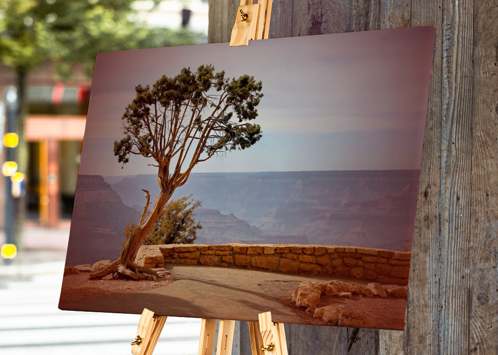 Baum am Grand Canyon