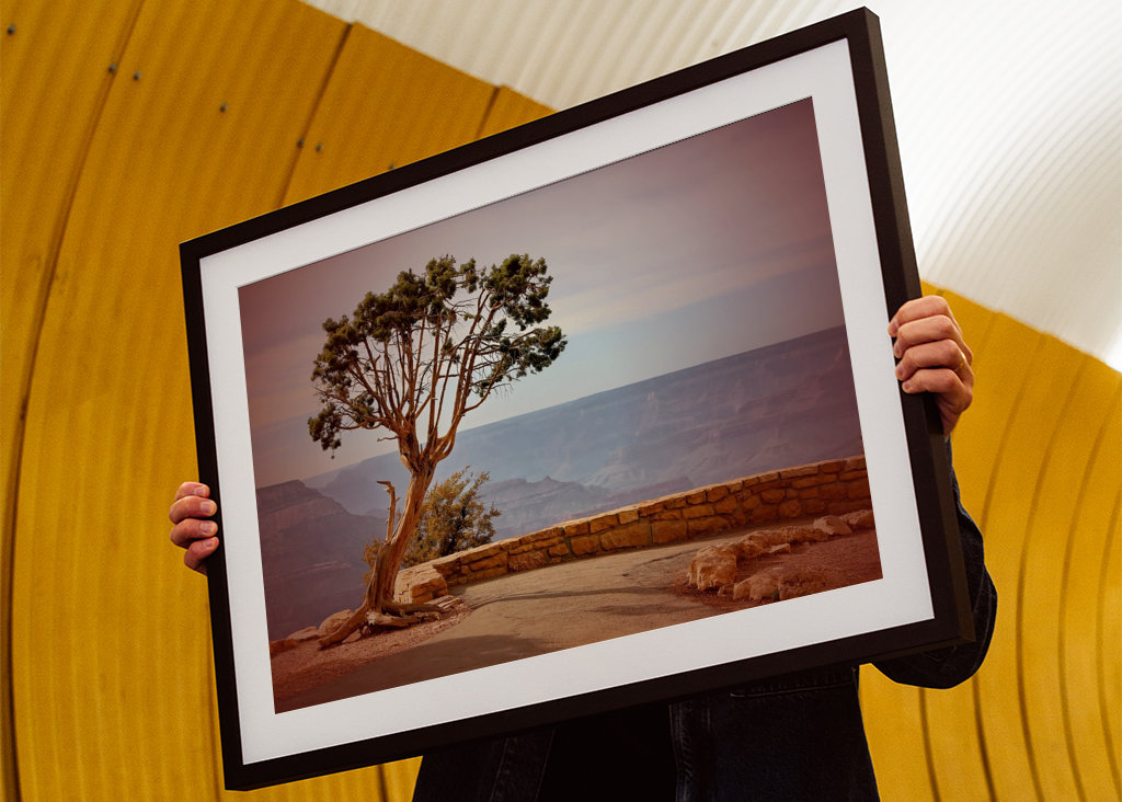 Baum am Grand Canyon