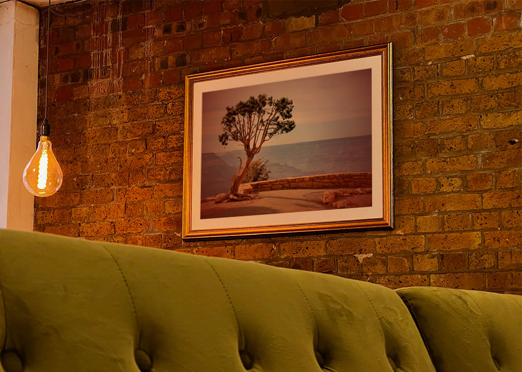 Baum am Grand Canyon