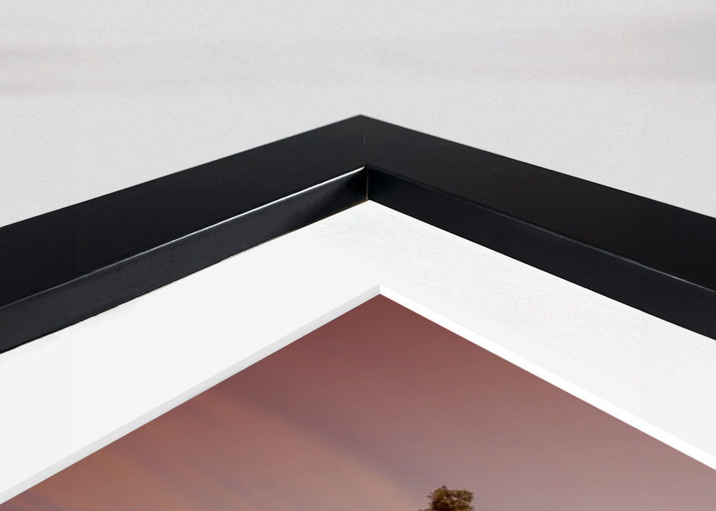 Baum am Grand Canyon