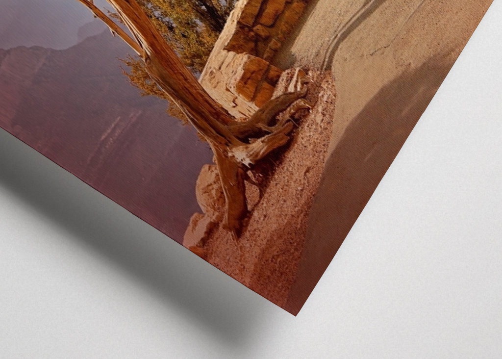 Baum am Grand Canyon