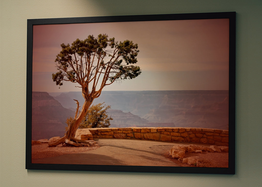 Baum am Grand Canyon