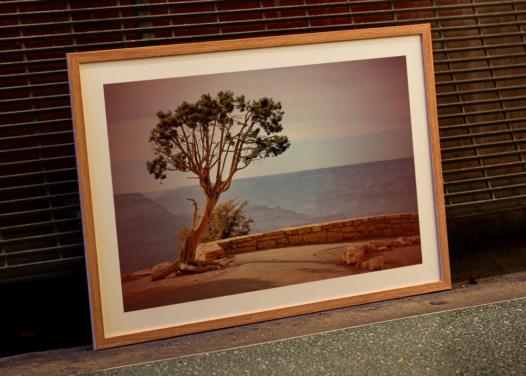 Baum am Grand Canyon