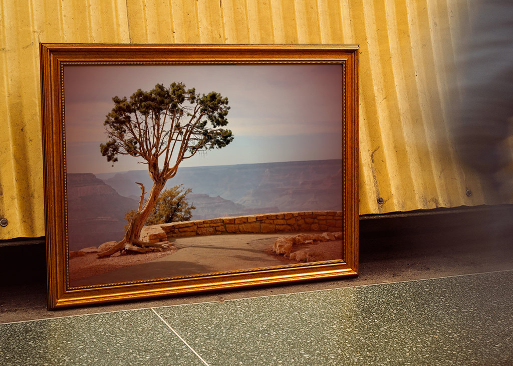 Baum am Grand Canyon