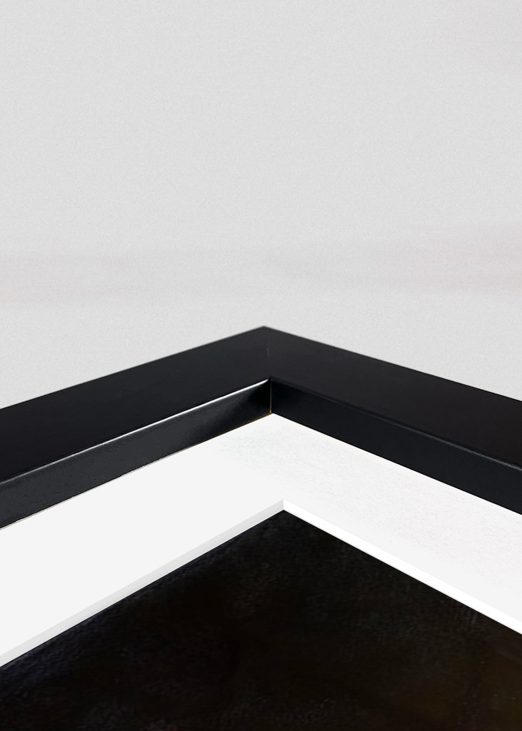 renaissance spider man