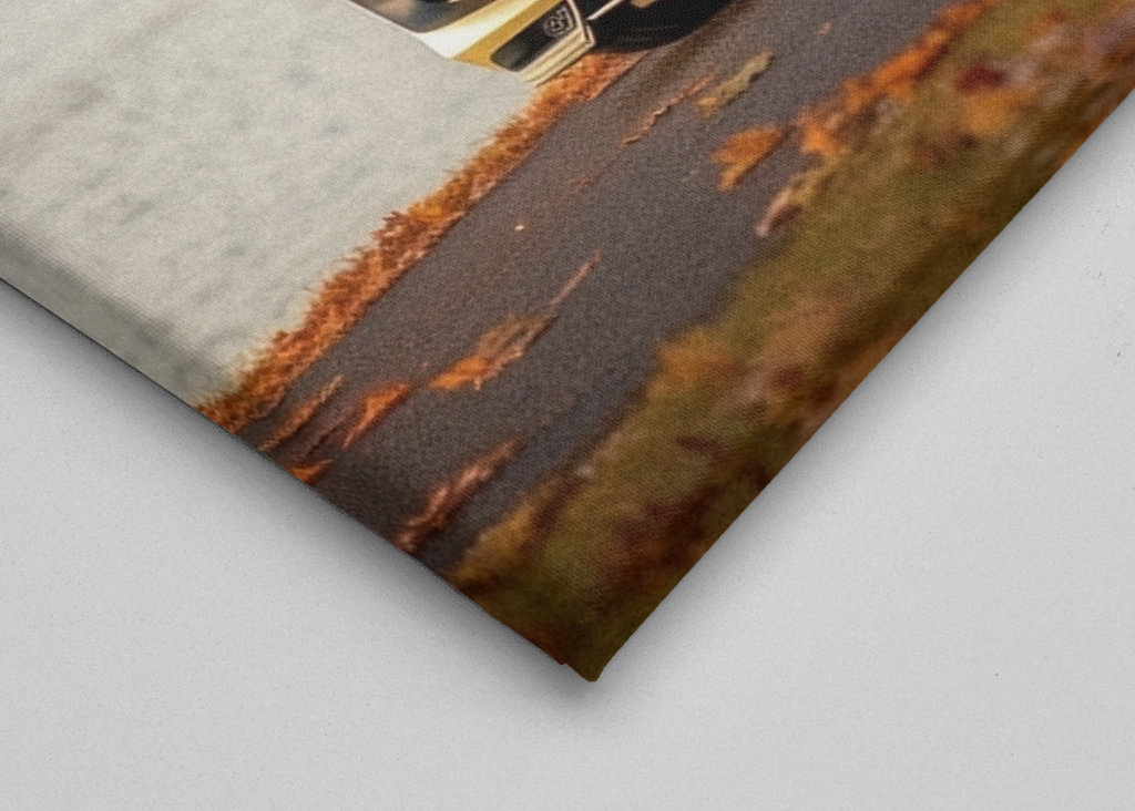 Mercedes SLS autumn car