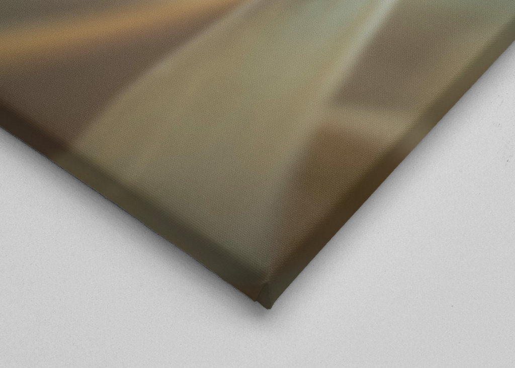 Harlekinridder Elegance