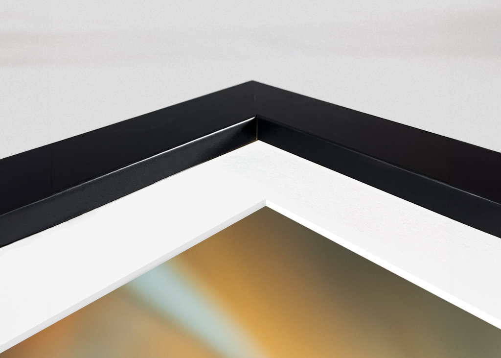 Harlekinridder Elegance