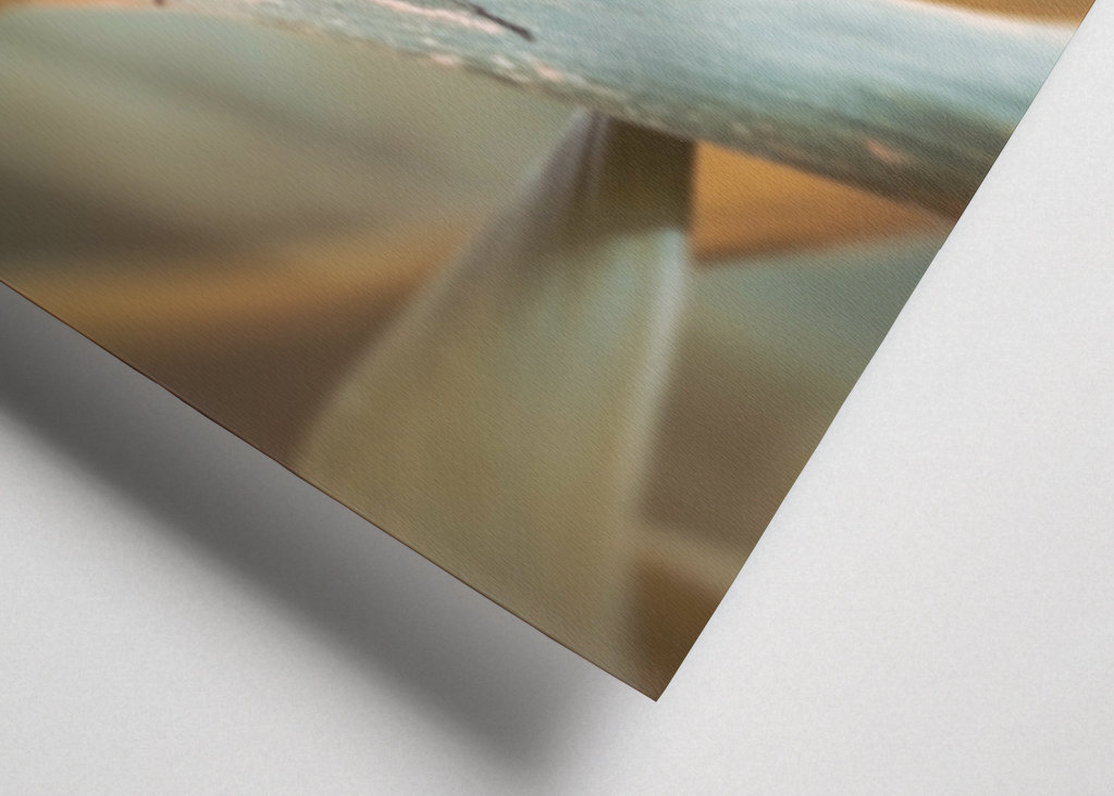 Harlekinridder Elegance