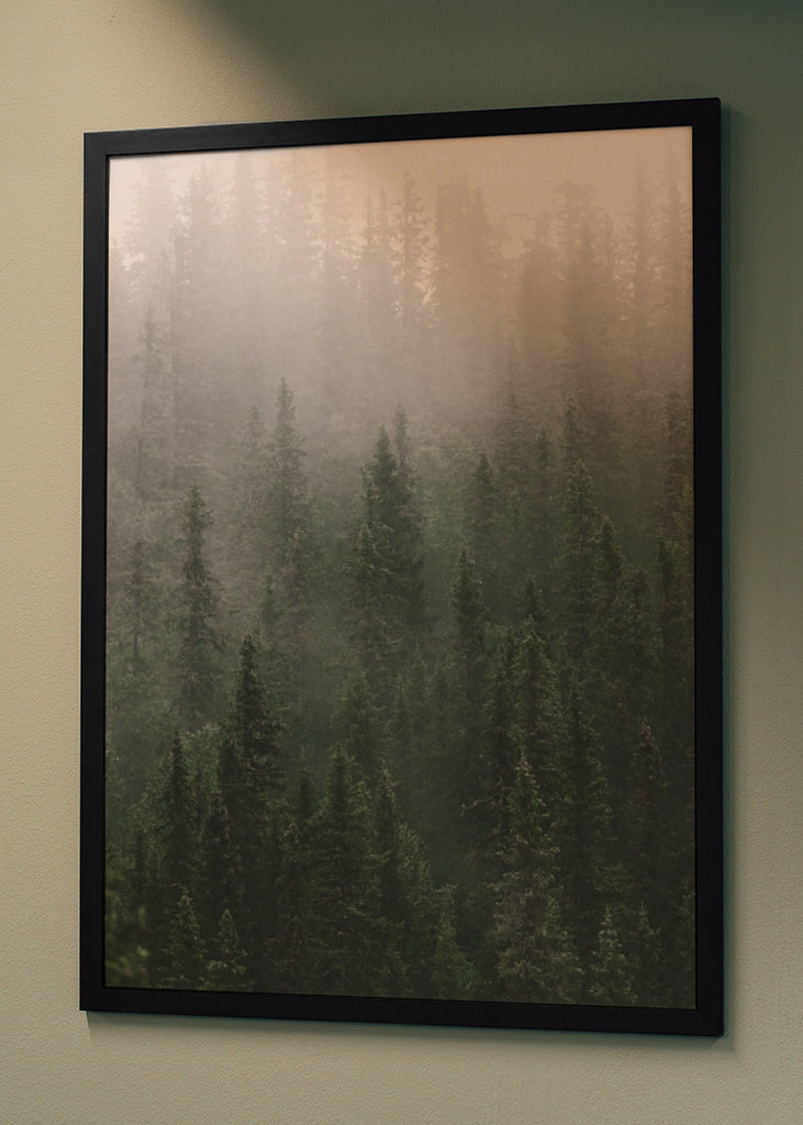 MISTY FOREST