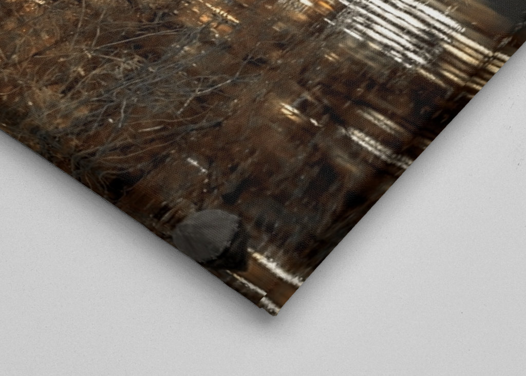 Světelná vyrovnanost