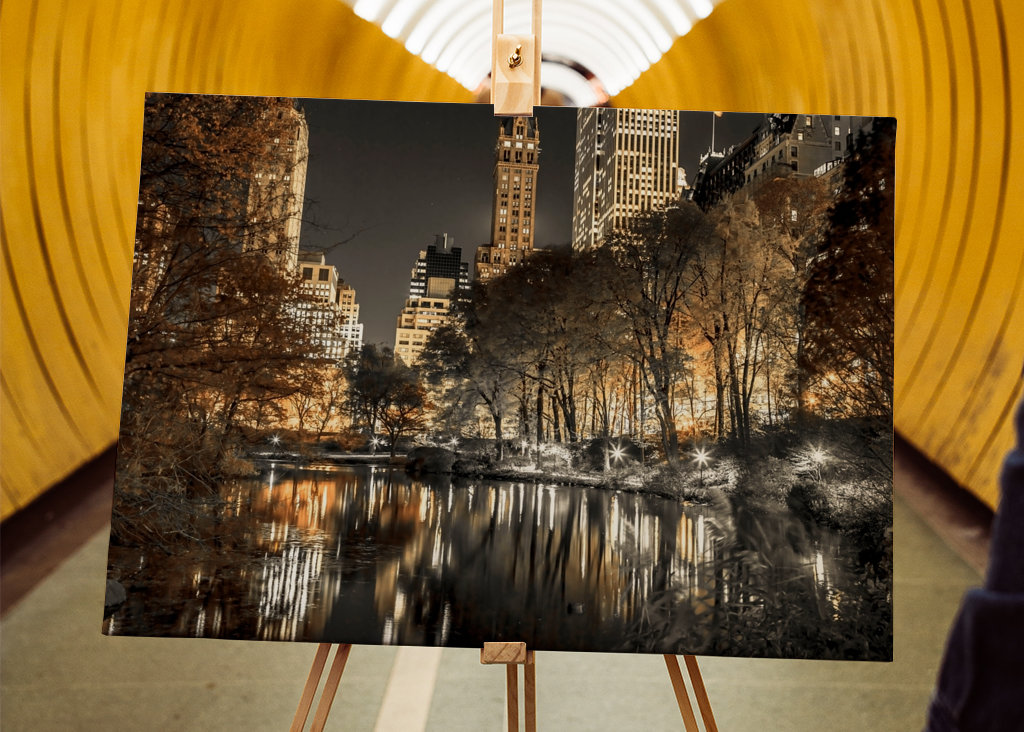 Světelná vyrovnanost