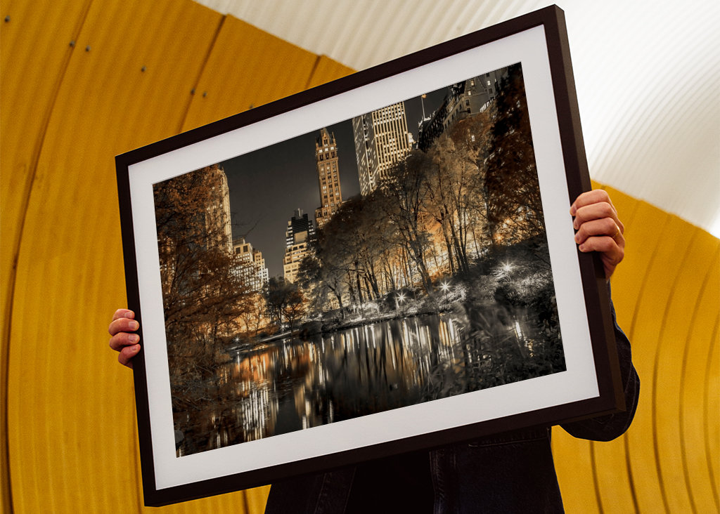 Světelná vyrovnanost