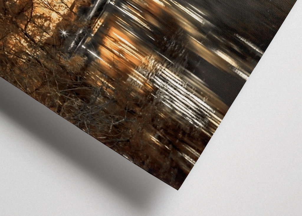 Světelná vyrovnanost