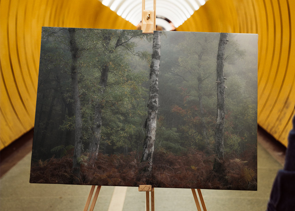 The three birch trees