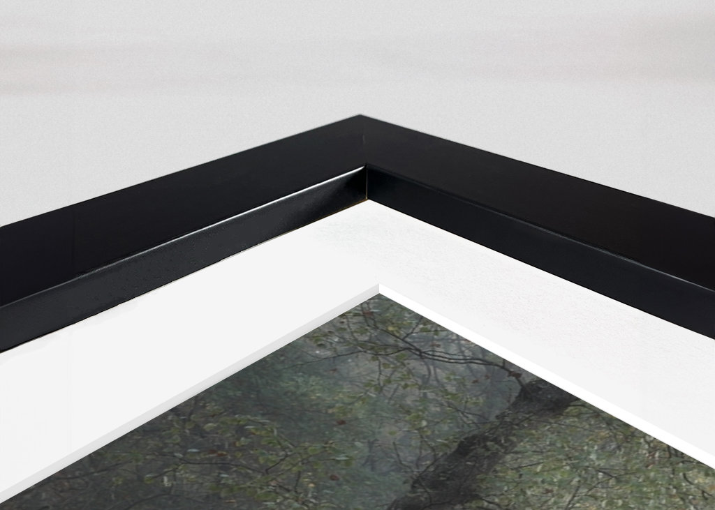 The three birch trees