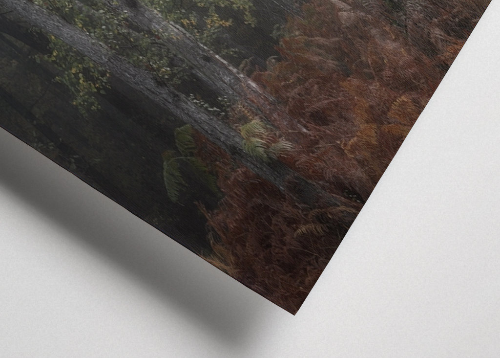 The three birch trees