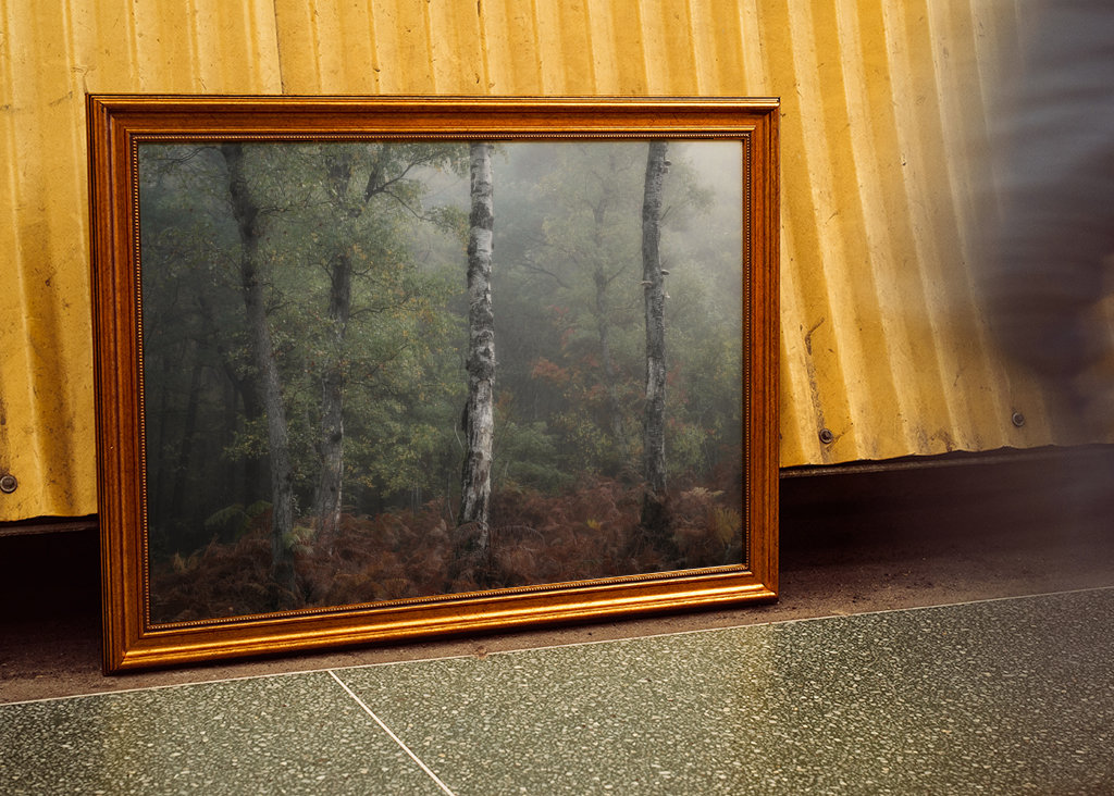 The three birch trees