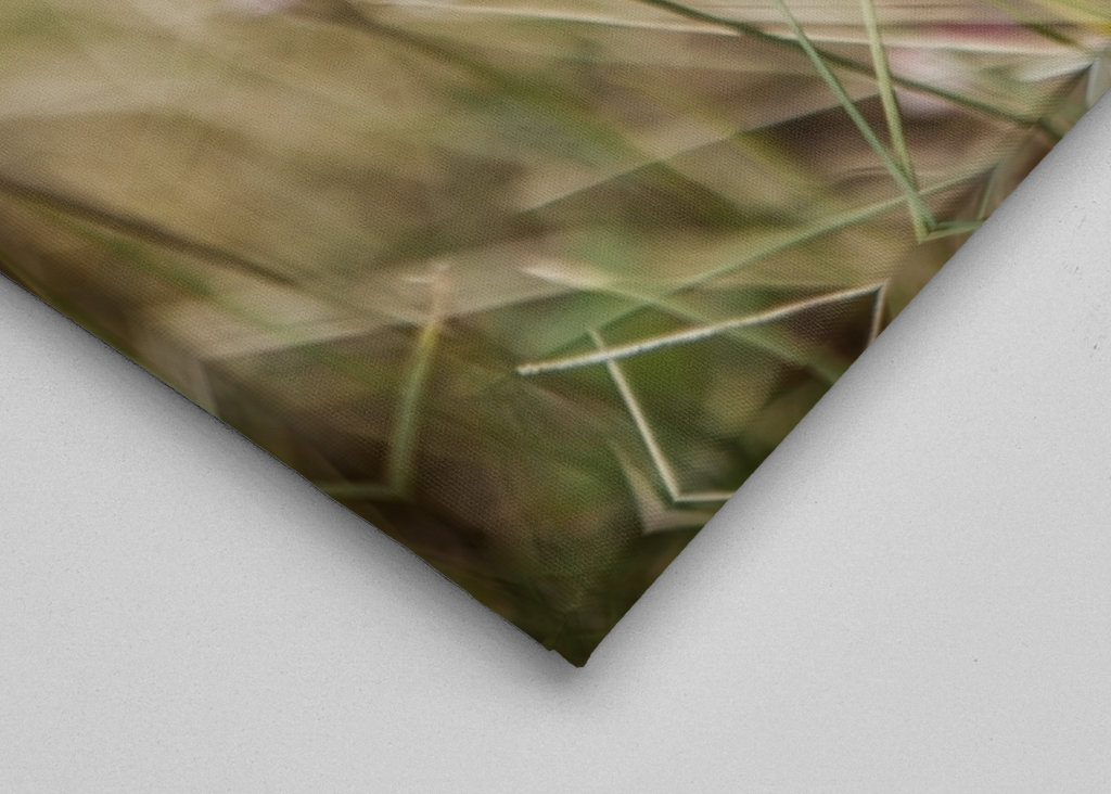 Moorland fläckig orkidé