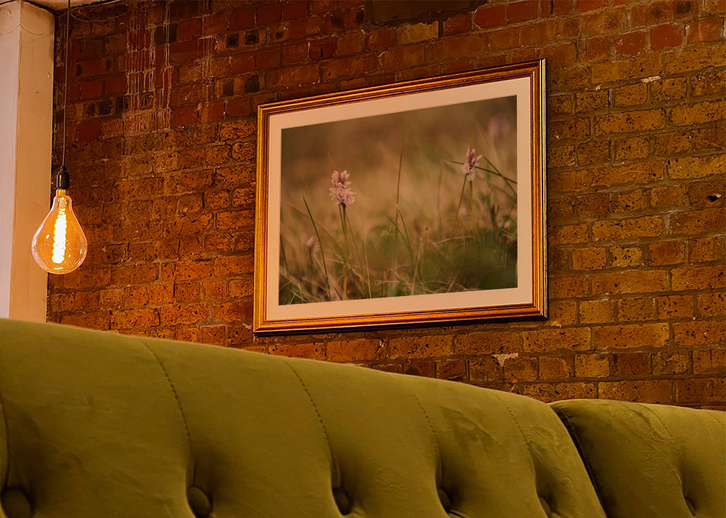 Moorland fläckig orkidé