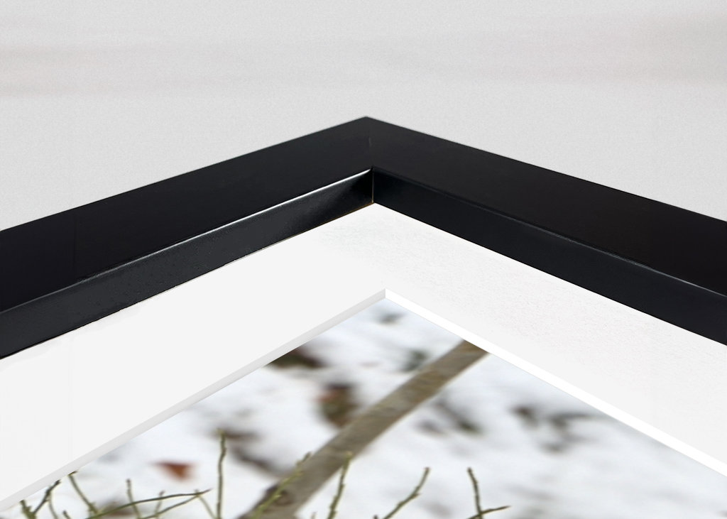 Férfi Rackelin közelről a hóban