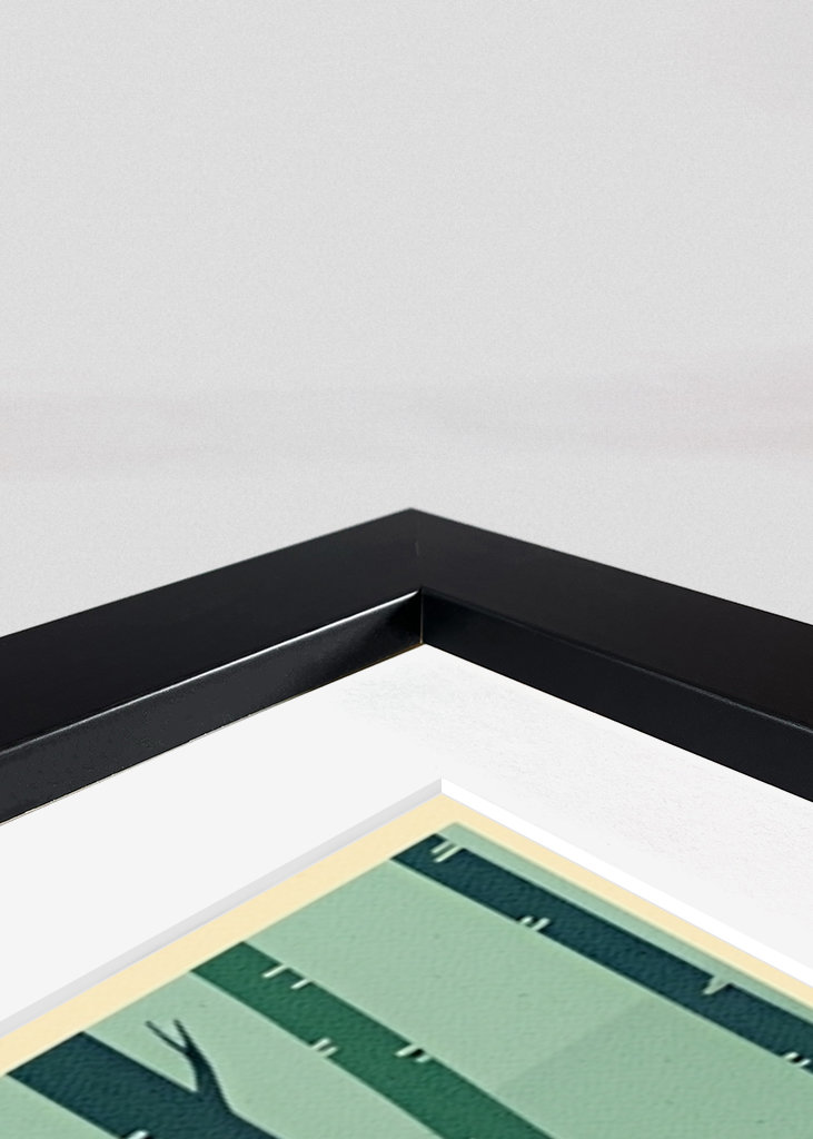 Star Wars Planet Poster