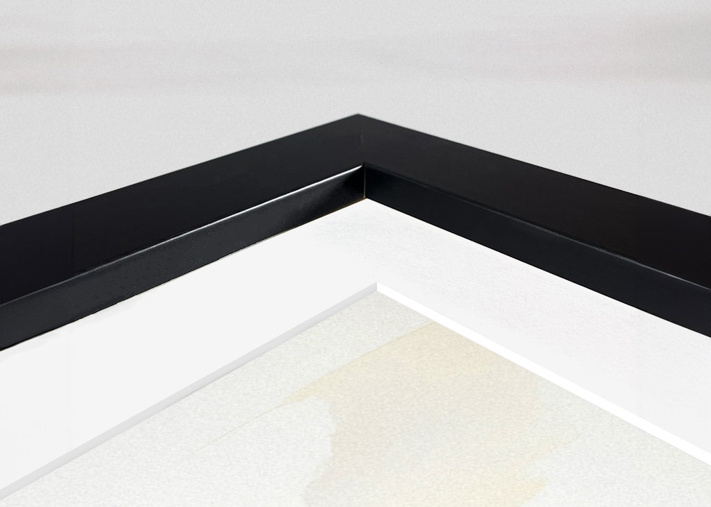 Porsche 911 Carrera + Weiß