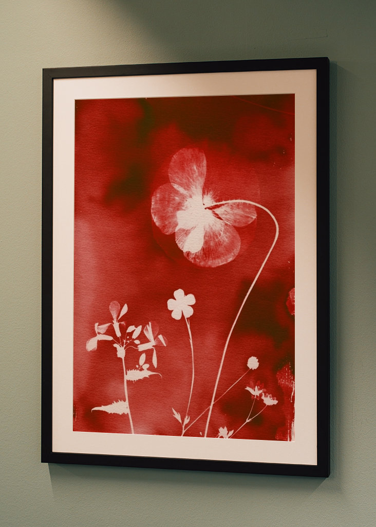 Rote Blumenwiese mit Mohn