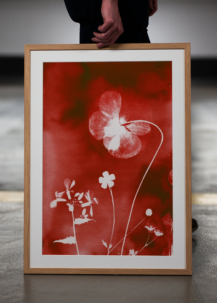 Rote Blumenwiese mit Mohn Poster von Lies Praet | Printler