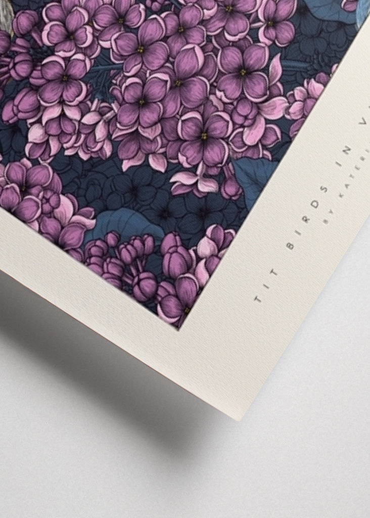 Sýkora Ptáci ve fialové zahradě