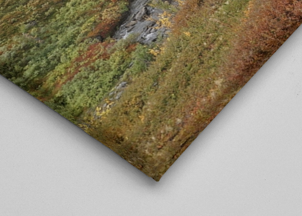 Stream with small islands