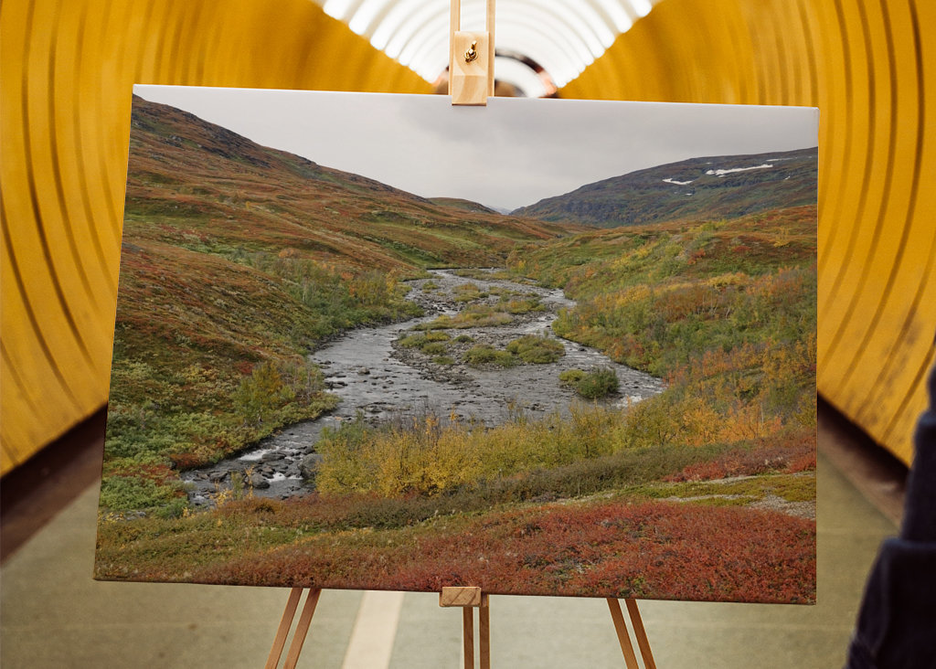 Stream with small islands