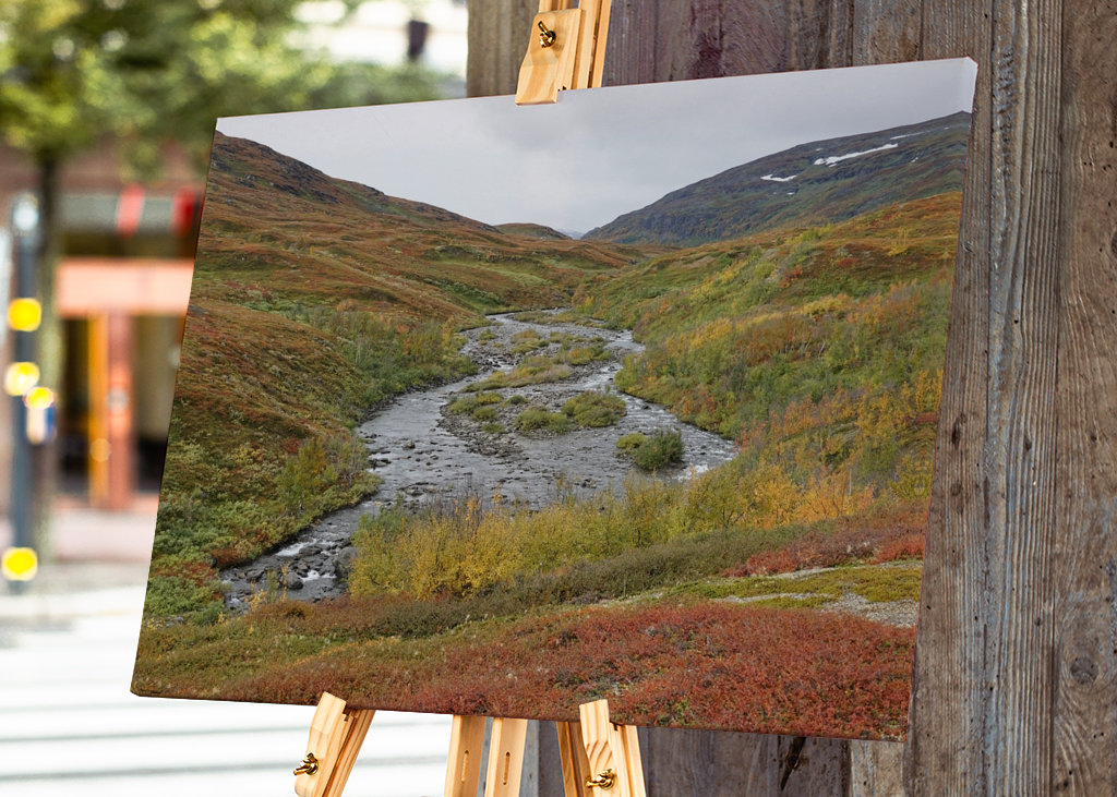 Stream with small islands