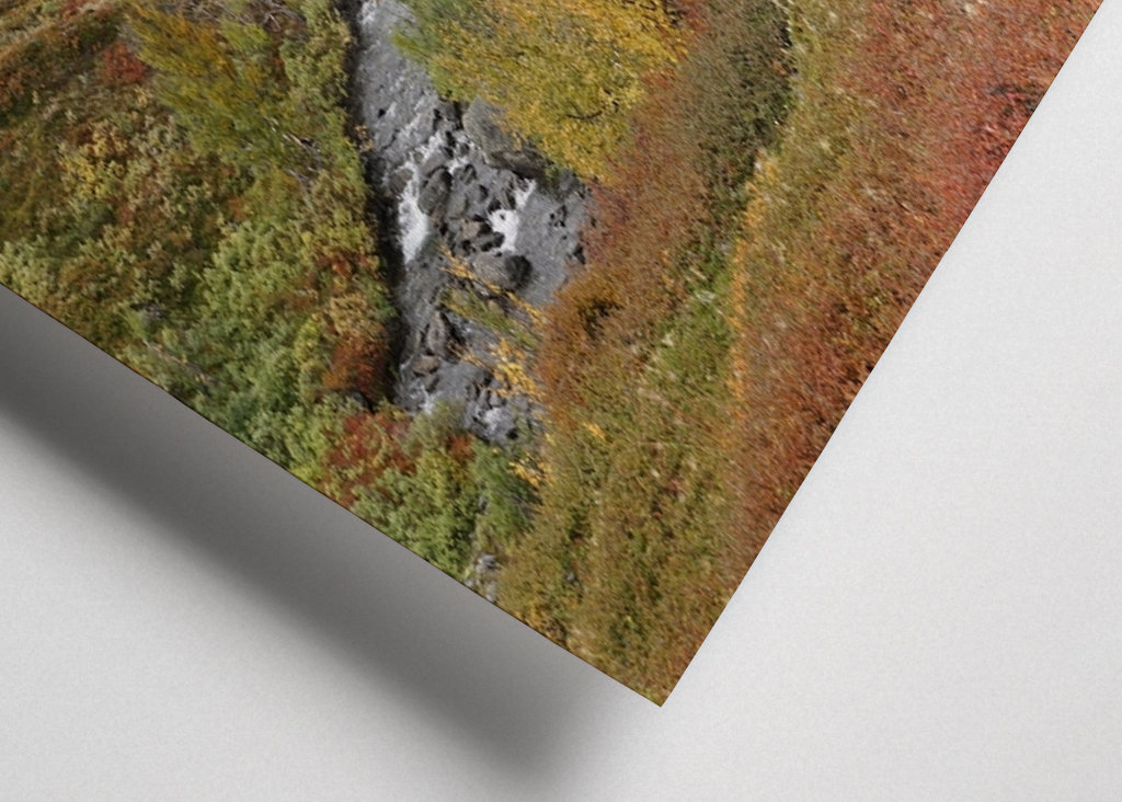 Stream with small islands