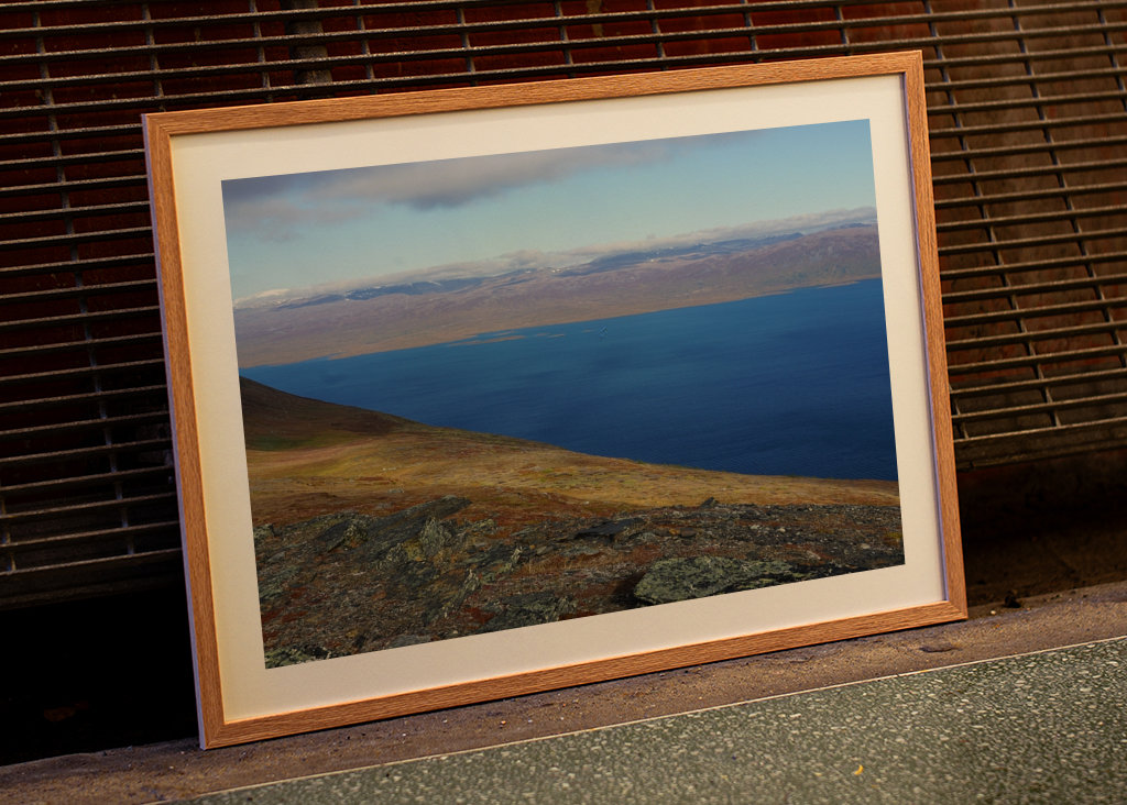 Utsikt över Torne Träsk