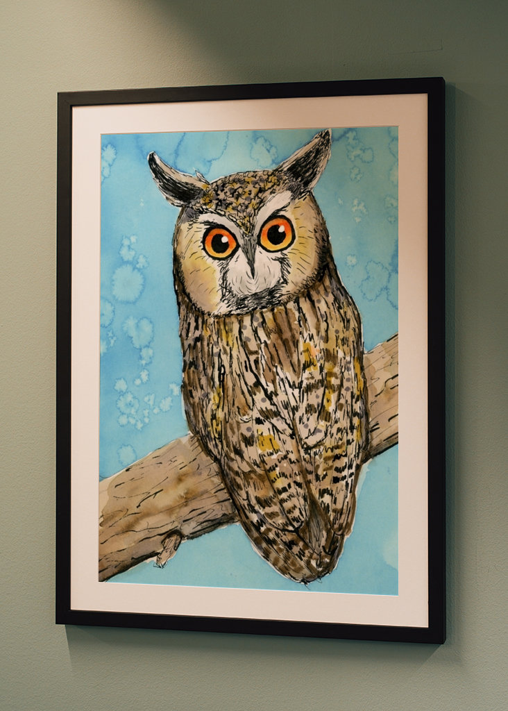 Hosszú fülű bagoly tollrajza