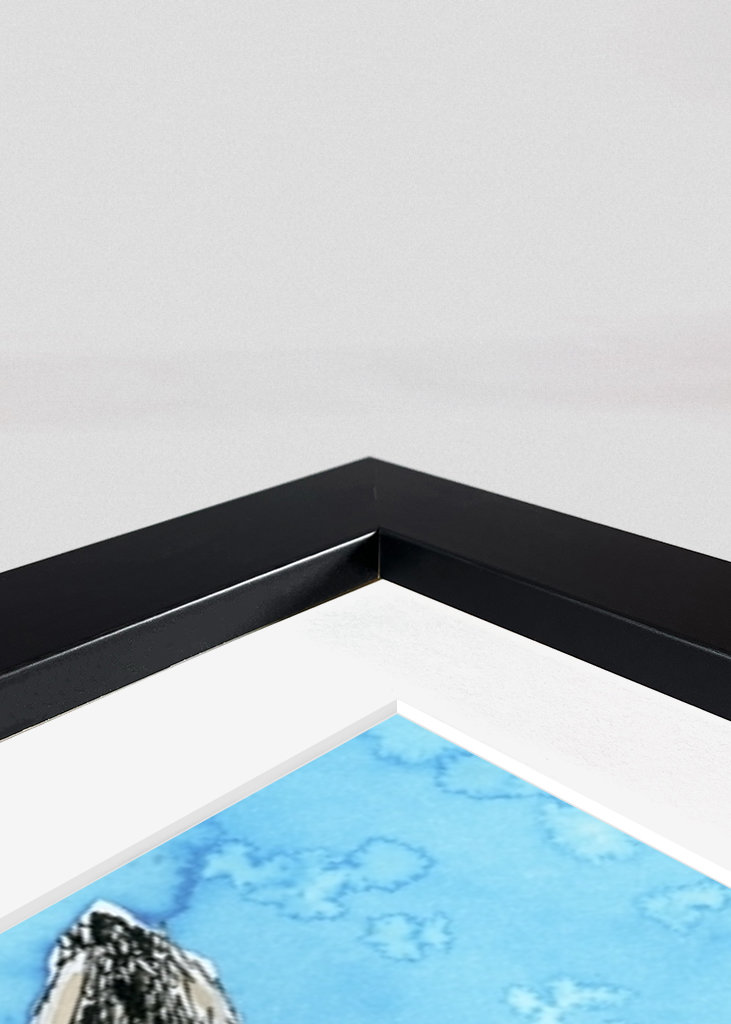 Hosszú fülű bagoly tollrajza