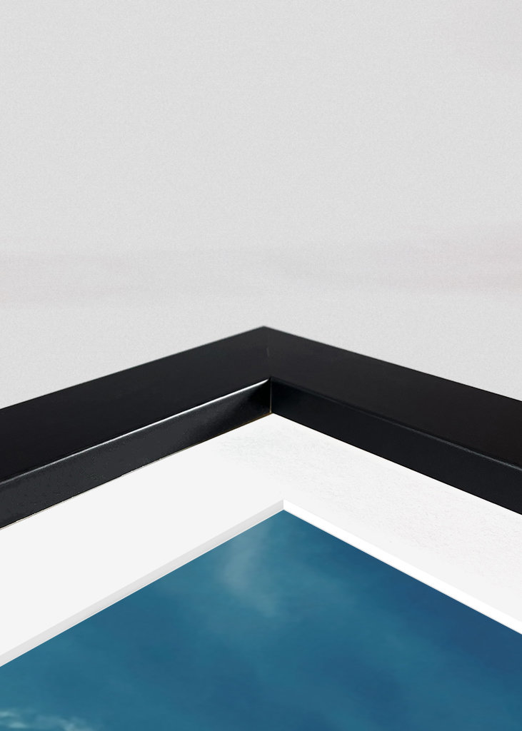 Oda al verano - Noria