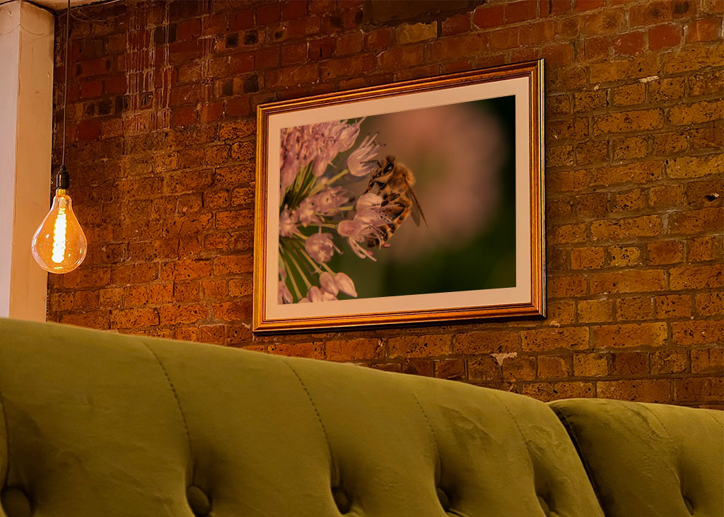 Včela na růžových květech