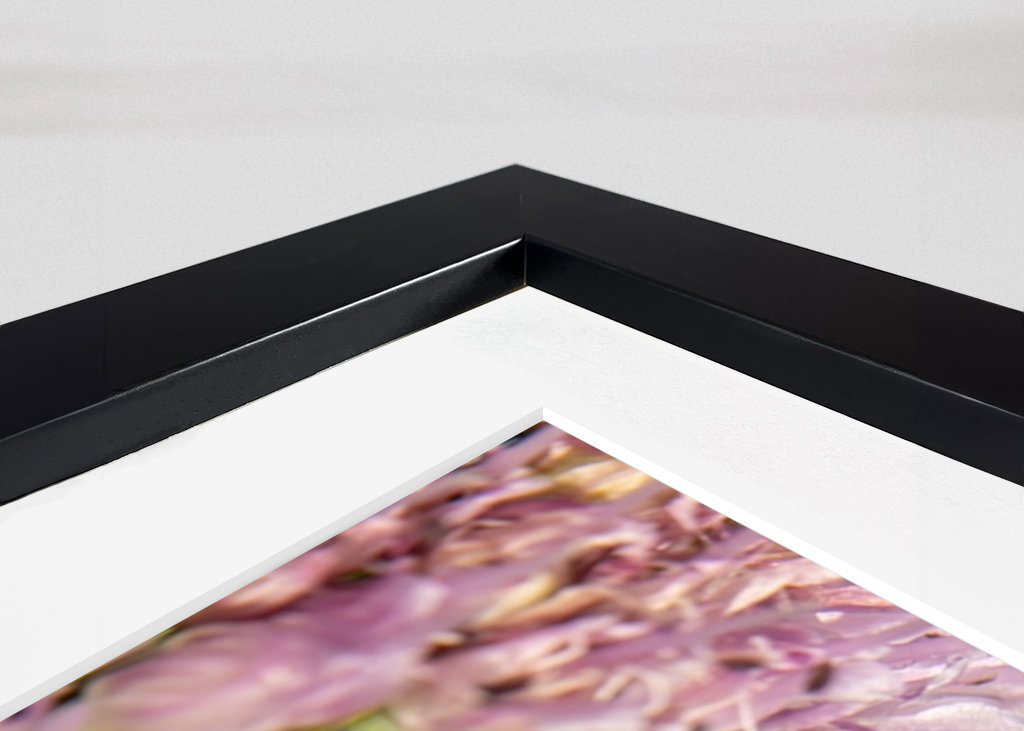 Včela na růžových květech