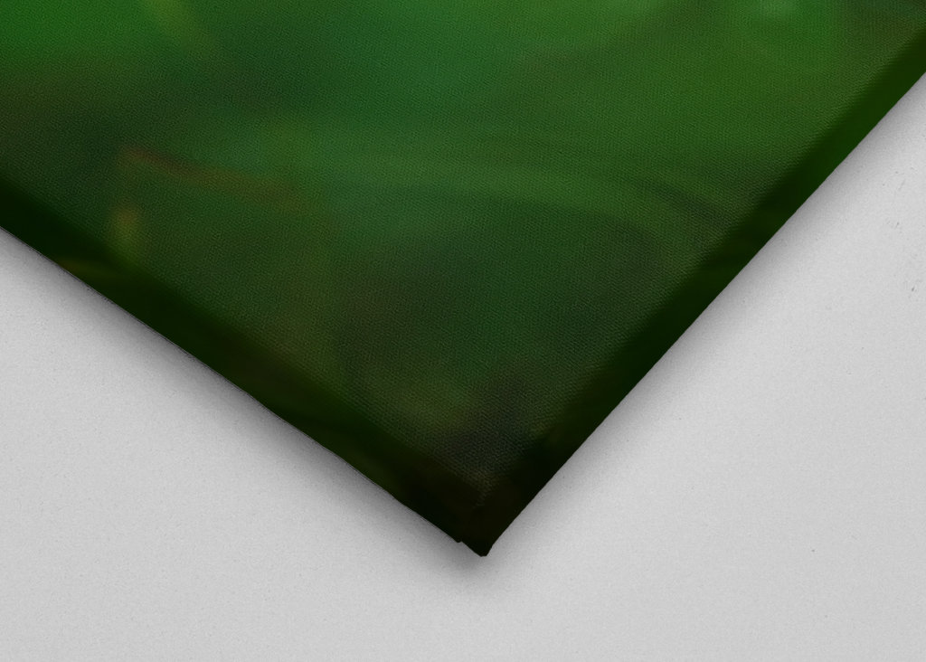 Květ červeného jetele v trávě