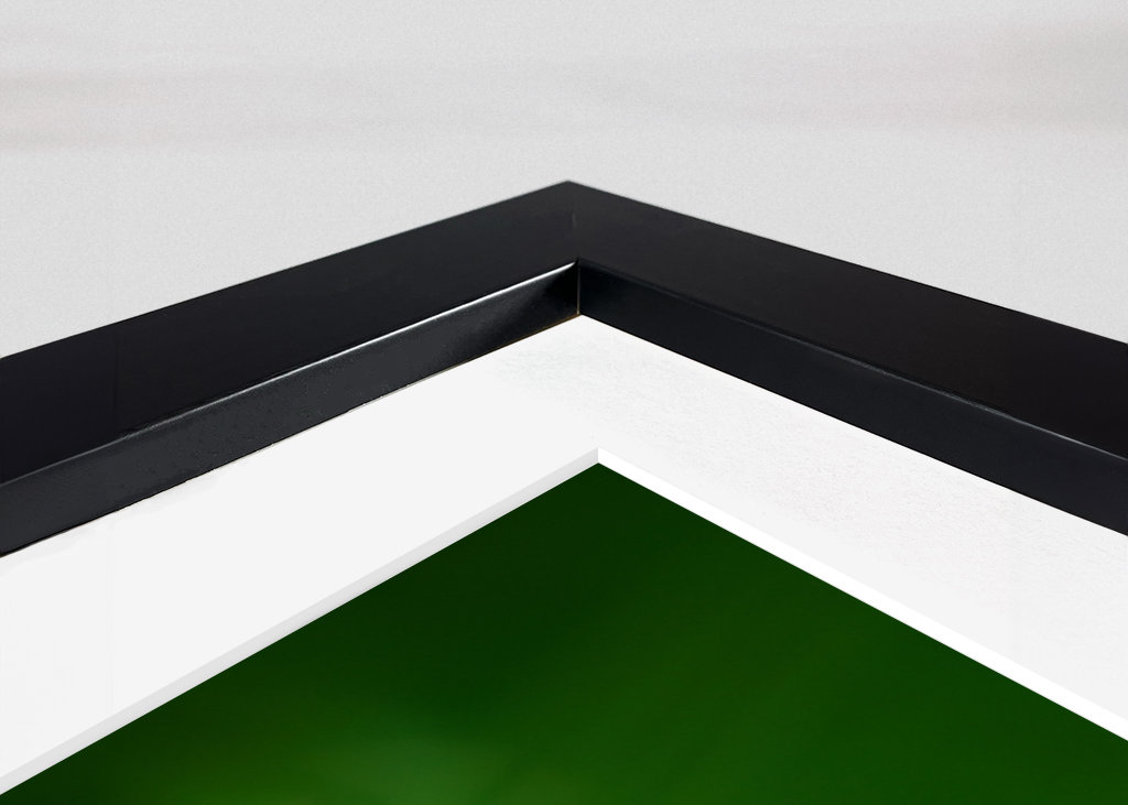 Květ červeného jetele v trávě