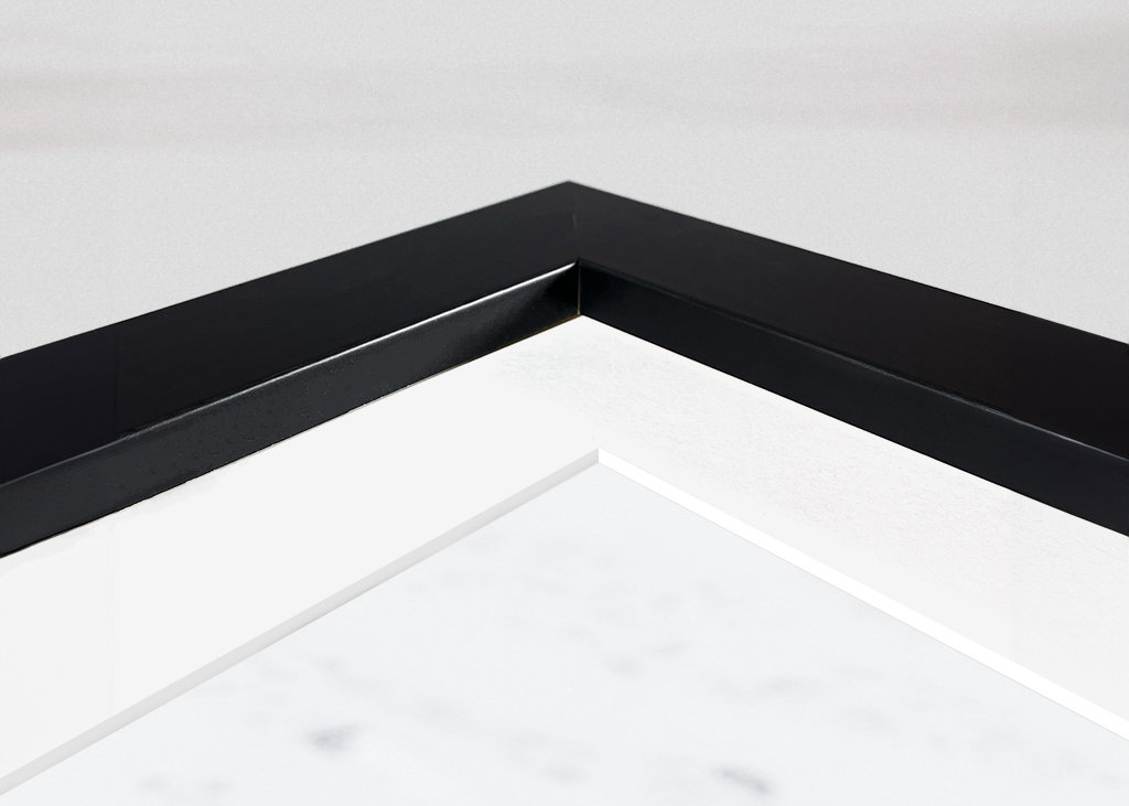 Musk ox fight in snow blizzard