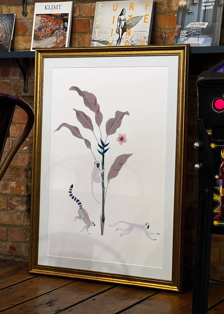 Jungle sjov tre aber