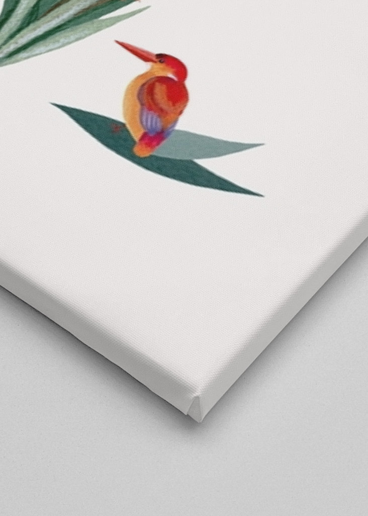 Jungle sjov af fugle